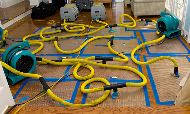 Professional Structural Drying And Dehumidification technician working in Huntsville, TX